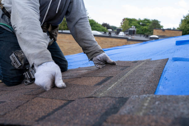 Professional Roofing services in Newellton, LA